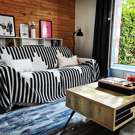 Appartement Proche De Centre, Cinema Renove Avec Parking Gratuit Nancy