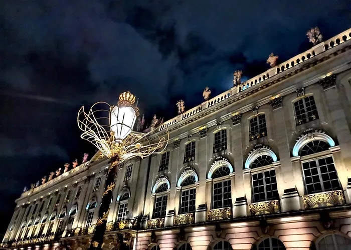 公寓 Proche De Centre, Cinema Renove Avec Parking Gratuit 南锡